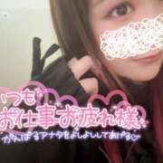 ヒメ日記 2025/10/14 10:16 投稿 みみ 京都祇園・南インターちゃんこ