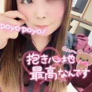 ヒメ日記 2025/10/23 08:18 投稿 みみ 京都祇園・南インターちゃんこ