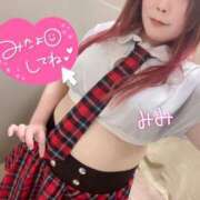 ヒメ日記 2025/11/13 18:27 投稿 みみ 京都祇園・南インターちゃんこ