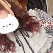 ヒメ日記 2025/11/17 12:28 投稿 みみ 京都祇園・南インターちゃんこ