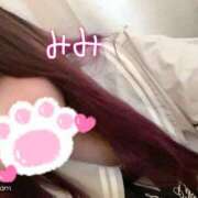 ヒメ日記 2025/11/21 07:26 投稿 みみ 京都祇園・南インターちゃんこ