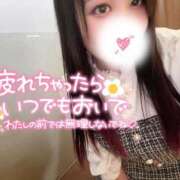 ヒメ日記 2025/12/04 12:30 投稿 みみ 京都祇園・南インターちゃんこ