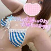 ヒメ日記 2026/02/15 14:23 投稿 みみ 京都祇園・南インターちゃんこ