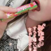 ヒメ日記 2026/02/19 19:02 投稿 みみ 京都祇園・南インターちゃんこ