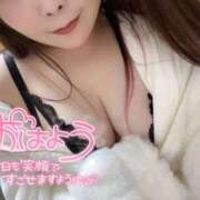 ヒメ日記 2026/03/11 07:25 投稿 みみ 京都祇園・南インターちゃんこ