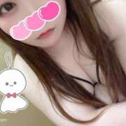 ヒメ日記 2026/03/23 07:27 投稿 みみ 京都祇園・南インターちゃんこ