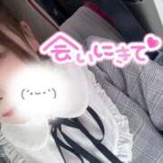 ヒメ日記 2026/03/23 21:03 投稿 みみ 京都祇園・南インターちゃんこ