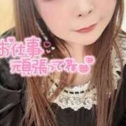 ヒメ日記 2026/04/02 11:11 投稿 みみ 京都祇園・南インターちゃんこ