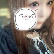 ヒメ日記 2026/04/20 13:19 投稿 みみ 京都祇園・南インターちゃんこ