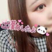 ヒメ日記 2026/05/03 14:19 投稿 みみ 京都祇園・南インターちゃんこ
