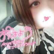 ヒメ日記 2026/05/30 07:32 投稿 みみ 京都祇園・南インターちゃんこ
