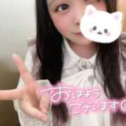 ヒメ日記 2026/06/11 07:31 投稿 みみ 京都祇園・南インターちゃんこ