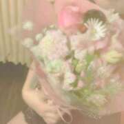 ヒメ日記 2025/04/29 18:16 投稿 麻子　後ろまで♡ 新橋ラズベリードール