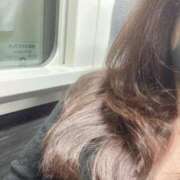 ヒメ日記 2026/02/15 16:11 投稿 麻子　後ろまで♡ 新橋ラズベリードール