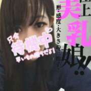 ヒメ日記 2025/04/17 13:52 投稿 かりな　秘密のかりなちゃん 新橋ラズベリードール