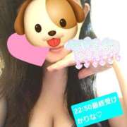 ヒメ日記 2025/05/18 17:55 投稿 かりな　秘密のかりなちゃん 新橋ラズベリードール