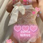 ヒメ日記 2025/03/27 23:01 投稿 桜井もも ダリア