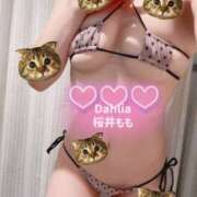 ヒメ日記 2025/05/04 15:51 投稿 桜井もも ダリア