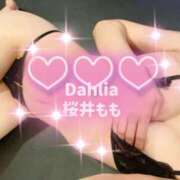 ヒメ日記 2025/09/16 23:31 投稿 桜井もも ダリア
