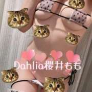 ヒメ日記 2025/09/26 08:31 投稿 桜井もも ダリア