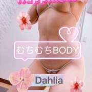 ヒメ日記 2026/03/14 23:21 投稿 桜井もも ダリア