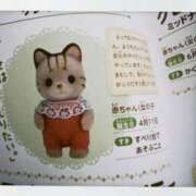 ヒメ日記 2025/07/19 23:45 投稿 りた ルネッサンス