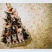 ヒメ日記 2025/12/06 23:57 投稿 りた ルネッサンス