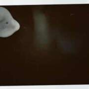 ヒメ日記 2026/01/28 18:40 投稿 りた ルネッサンス