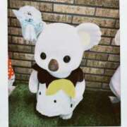 ヒメ日記 2026/01/31 18:00 投稿 りた ルネッサンス