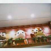 ヒメ日記 2026/02/02 18:20 投稿 りた ルネッサンス