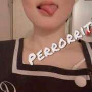 ヒメ日記 2026/03/16 15:56 投稿 りた ルネッサンス