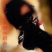 ヒメ日記 2025/04/04 02:33 投稿 若 痴女@女王様