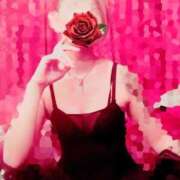 ヒメ日記 2025/12/20 00:33 投稿 若 痴女@女王様