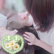 ヒメ日記 2025/02/25 00:16 投稿 いちろ 埼玉★出張マッサージ委員会Z