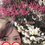 ヒメ日記 2025/03/03 19:24 投稿 いちろ 埼玉★出張マッサージ委員会Z