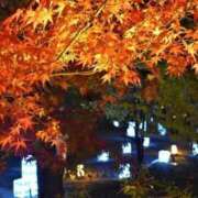 ヒメ日記 2024/12/21 17:18 投稿 とうこ 熟女家 十三店