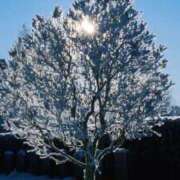 ヒメ日記 2024/12/28 21:34 投稿 とうこ 熟女家 十三店