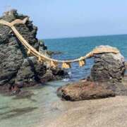 ヒメ日記 2024/12/29 11:46 投稿 とうこ 熟女家 十三店