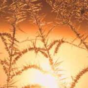 ヒメ日記 2024/12/30 18:14 投稿 とうこ 熟女家 十三店