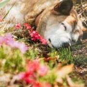 ヒメ日記 2025/01/12 20:02 投稿 とうこ 熟女家 十三店