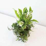 ヒメ日記 2025/01/31 13:24 投稿 とうこ 熟女家 十三店