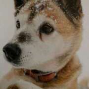 ヒメ日記 2025/02/14 16:40 投稿 とうこ 熟女家 十三店