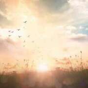 ヒメ日記 2025/02/23 12:58 投稿 とうこ 熟女家 十三店