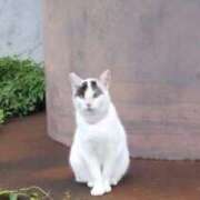 ヒメ日記 2025/03/15 12:48 投稿 とうこ 熟女家 十三店