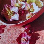 ヒメ日記 2025/03/20 12:45 投稿 とうこ 熟女家 十三店