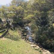 ヒメ日記 2025/03/27 12:57 投稿 とうこ 熟女家 十三店