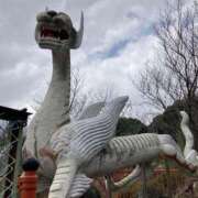 ヒメ日記 2025/04/01 12:33 投稿 とうこ 熟女家 十三店