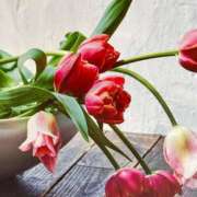 ヒメ日記 2025/04/02 12:57 投稿 とうこ 熟女家 十三店