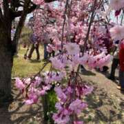 ヒメ日記 2025/04/12 12:44 投稿 とうこ 熟女家 十三店