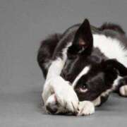 ヒメ日記 2025/05/05 15:44 投稿 とうこ 熟女家 十三店